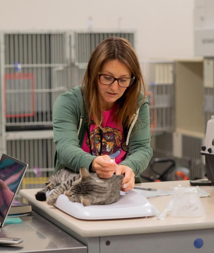 Portrait of Brittney